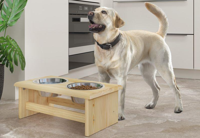 Pet Feeding Station Ideas: Create a Cleaner and More Organized Space for Your Pets