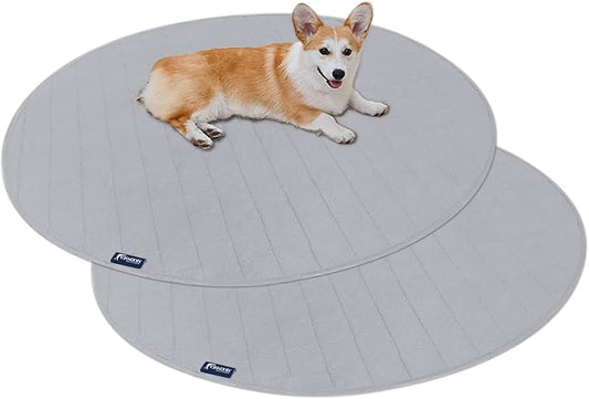 Best Pet Training Pads for Easy Cleanup and Hygiene