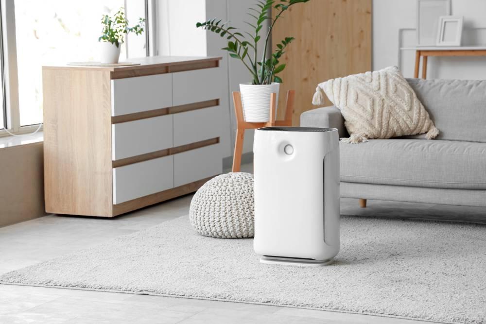 Air Quality & Comfort