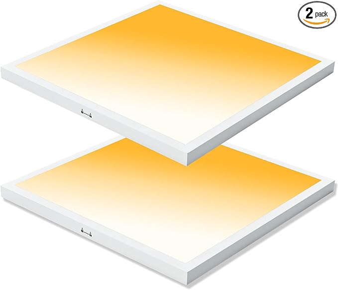 Mcacggo 2x2 LED Flat Panel Light Surface Mount, 40W-30W-20W & 3000K-4000K-5000K Selectable, 0-10V Dimmable, 24 Inch Square Flush Mount Ceiling Fixture for Kitchen, Shop, 100-277V, ETL, 2 Pack