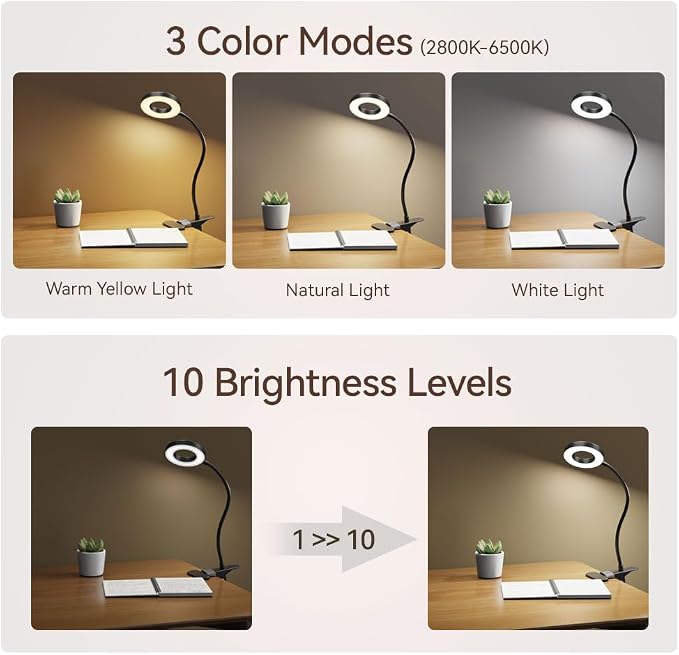 2 Pack LED Clip on Desk Lamp, Metal 360 Adjustable Neck | Eye-Caring Clamp Lamp - Image 2