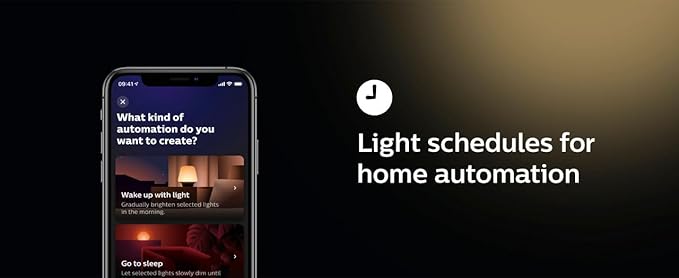Philips Hue Outdoor 40W Power Supply, Black - Connect Multiple Hue Outdoor Low Voltage Lights up to Total of 40W - 1 Pack - Requires Hue Bridge - Weatherproof