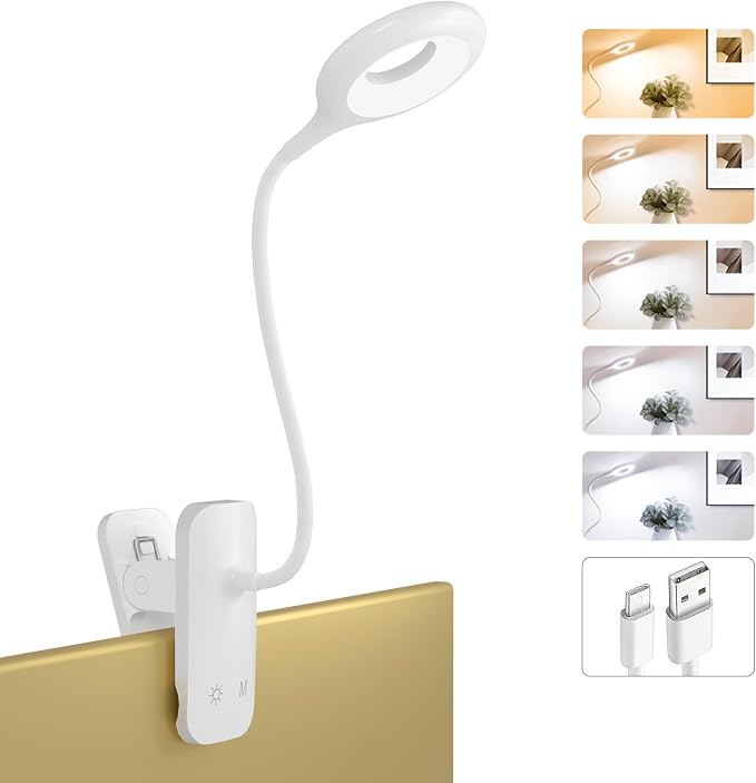 Rechargeable Clamp Light, LED Bed Reading Lamp by Home