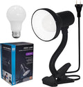 Xtricity LED Clip on Desk Lamp by Xtricity