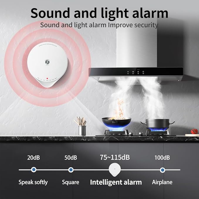 4-in-1 Carbon Monoxide Detector, Wireless Battery CO and Gas Alarm with Temperature and Humidity Monitors, No Plug Needed Portablhe CO Methane Gas Detector for Home, Kitchen and Bedroom
