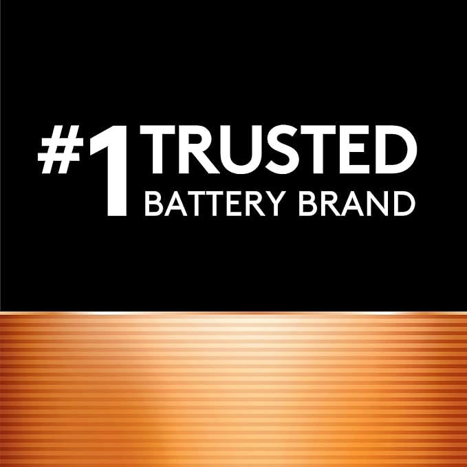 Duracell CEF27 ION SPEED 4000 Hi-Performance Charger, Includes 2 AA and 2 AAA NiMH Batteries