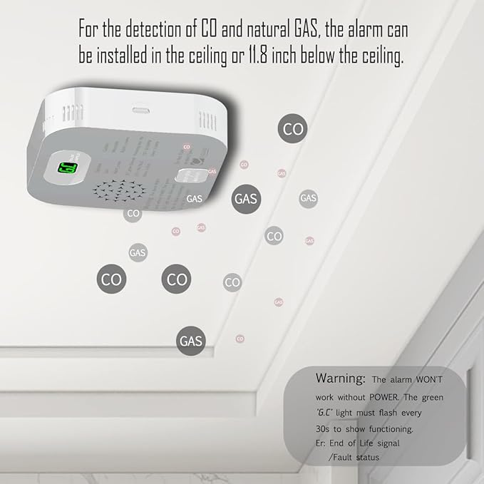 RV Carbon Monoxide Detector & Propane/Natural Gas Detectors, 10-Year Lifespan, 3-in-1 Gas Alarm for Camper, Home, Voice Alert with LCD Display, USB-C & 12V DC Powered, Compact Design