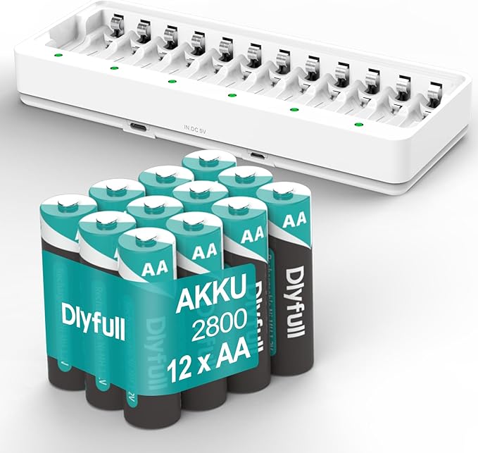 Dlyfull Rechargeable AA Batteries with Charger, 12PCS 2800mAh High Capacity Low Self Discharge Ni-MH Double A Batteries with Battery Charger -USB&Type C Dual Input High-Speed Charging Ports