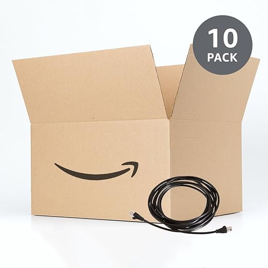 Amazon Basics RJ45 Cat 6 Ethernet Patch Cable, 1Gpbs Transfer Speed, Gold-Plated Connectors, 14 Foot - 10-Pack, Black