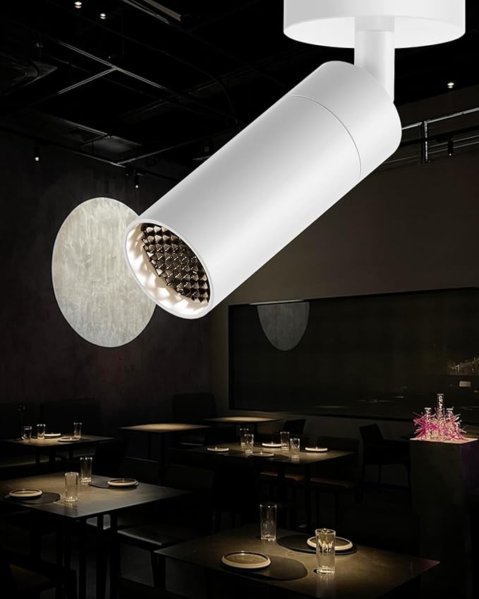 Gpaillumic Led Modern Directional Spotlight, Zoomable Monopoint Ceiling Spot Light for Indoor Cafeteria Foyer Living Room Warm White