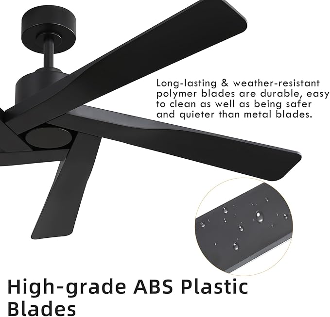 WINGBO 64" ABS DC Ceiling Fan No Light, 5 Blade ABS Plastic Ceiling Fan with Remote, 6-Speed Reversible DC Motor, Ceiling Fans without Light for Kitchen Bedroom Living Room, Matte Black