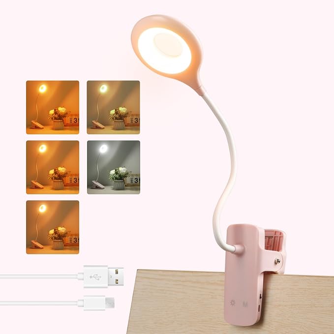 Akynite Clip on Light LED Desk Lamp 5 Brightness+5 Colors Rechargeable Lamp | by AkyniteLighting