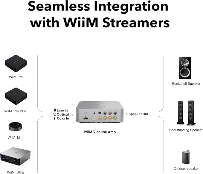 WiiM Vibelink Amp | 100W Power Amplifier with Premium ESS 9039Q2M DAC and TI TPA3255 | Compatible with WiiM Mini, Pro, Pro Plus, and Ultra | RCA, Coax, and Optical Inputs | Silver