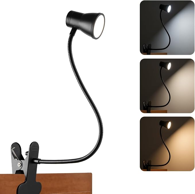 Eye-Caring Clip On Desk Lamp, 3 Color Modes & 10 Brightness LED Reading Light by LALISU