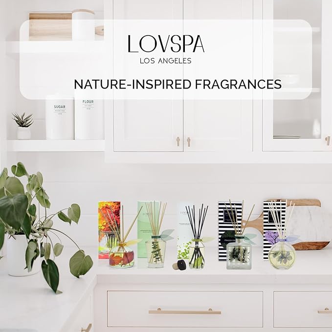 LOVSPA Reed Diffuser Set, Holiday Red Currant & Woods Scented Oil Diffuser with Sticks, Home Fragrance Accessories for Bathroom Shelf Decor, Aroma Diffusers for Home or Office Desk, USA Made