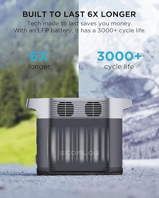 EF ECOFLOW Solar Generator DELTA 2 with 2x220W Portable Solar Panels, 1024Wh LFP Battery, Fast Charging, Portable Power Station for Home Backup Power, Camping & RVs