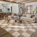 Beige 5x7 Area Rug for Living Room Soft Checkered Shag Carpet | Machine Washable by PureCozy
