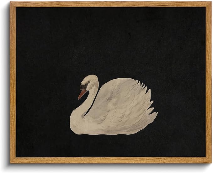 OIQArtOIQ Vintage Framed Wall Art Moody Grace Swan Canvas Art Prints Rustic by OIQArtOIQ