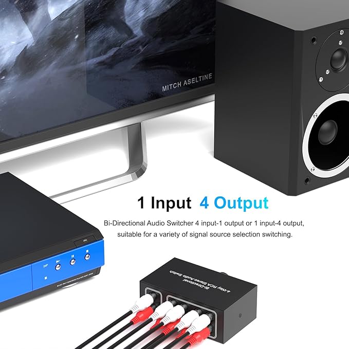 Dingsun 4-Way Stereo Audio Switcher, Bi-Directional Right and Left Channel Audio Selector Box for Blu-ray Players or DVD Players Active Speakers (4In-1Out /1In-4Out)(1In-4Out /4In-1Out)