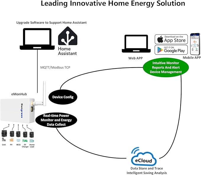 Sungrass Home Energy Monitor-Real Time Electricity Usage Monitor,Power Consumption Meter, Historical Energy Tracking, Automation Module,Solar Self-Consumption Statistics,Demand Measure