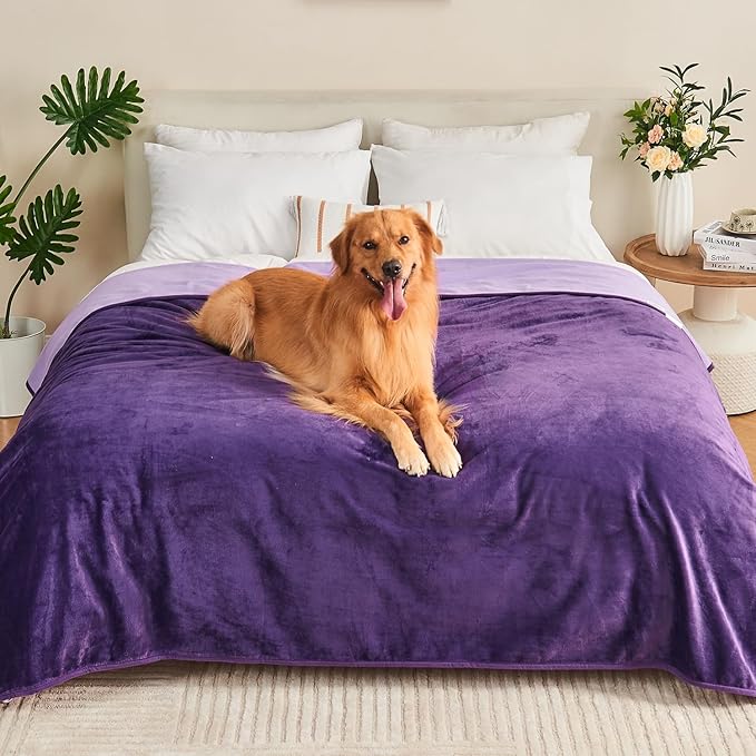 Waterproof Blanket 60"x80" for Adults, Reversible Waterproof Bed Cover for Dogs Cats Pets, Soft Leakproof Blanket for Bed Couch Sofa Furniture Protector, Dark Purple/Light Purple