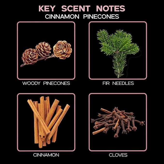 LOVSPA Reed Diffuser Set, Cinnamon Pine Cones Scented Oil Diffuser with Sticks, Home Fragrance Accessories for Bathroom Shelf Decor, Aroma Diffusers for Home or Office Desk, USA Made