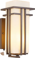 15.35"H Matte Brown Outdoor Wall Light Large Outdoor Wall Lantern Oil Rubbed Bronze Exterior Light Fixture Waterproof Metal with Frosted Glass Sconce Light for Porch Garage Front Door, Brown (Large)