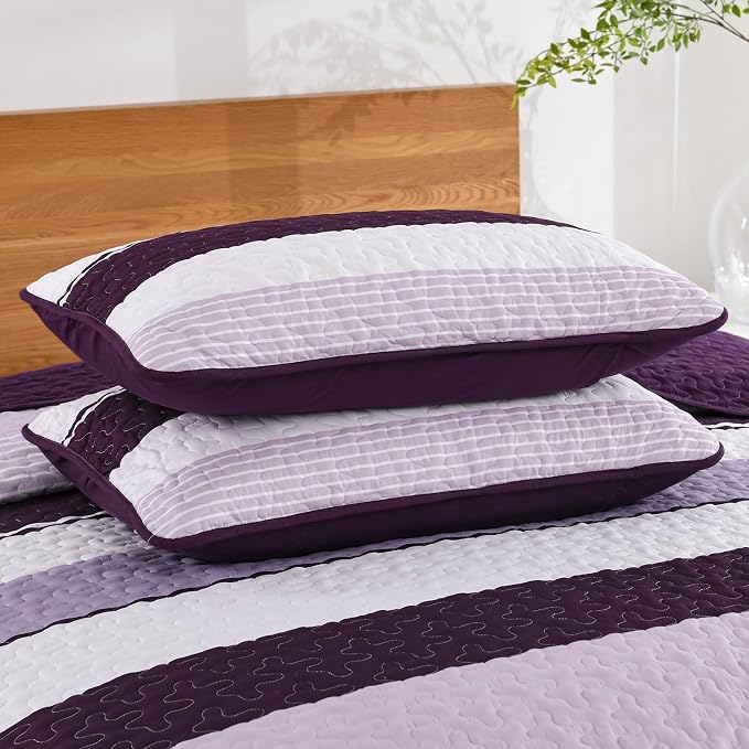 Dinjoy Queen Boho Striped Quilt Set, Breathable All-Season, 3-Piece Set Fits - Image 9