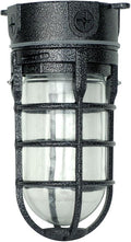 Woods L1706BLK Vandal Resistant 150W Incandescent Security Light, Ceiling Mount, Hammered Black