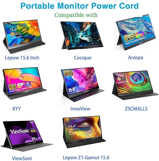 240W USB 3.2 Gen 2X2 Display Monitor Link Data Transfer Video Cable for Lepow Z1 15.6 In, InnoView, ASUS ZenScreen, KYY, Cocopar, Arzopa, AOC, ViewSonic Portable Monitor HDR Outputt Charger Power Cord