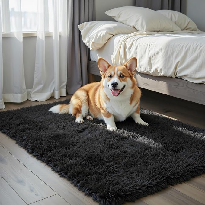 Small Shag Area Rug for Bedroom, 2x3 Black Soft Plush Carpet | Non-Slip Floor by Junhejiamei