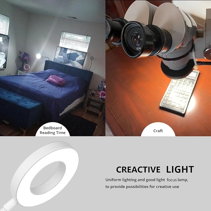 Woputne Desk Lamp Clip on Desk Reading Lights - Image 5