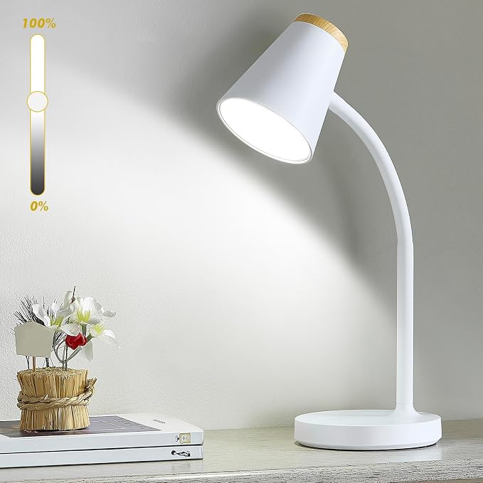EJIAXIN Desk Lamp for College Dorm Room by WelcometoEJIAXIN