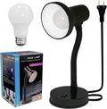 Xtricity LED Desk Light, 360° Adjustable Gooseneck, | Home and Office Lamp by Xtricity