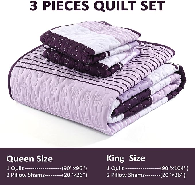 Dinjoy Queen Boho Striped Quilt Set, Breathable All-Season, 3-Piece Set Fits - Image 6