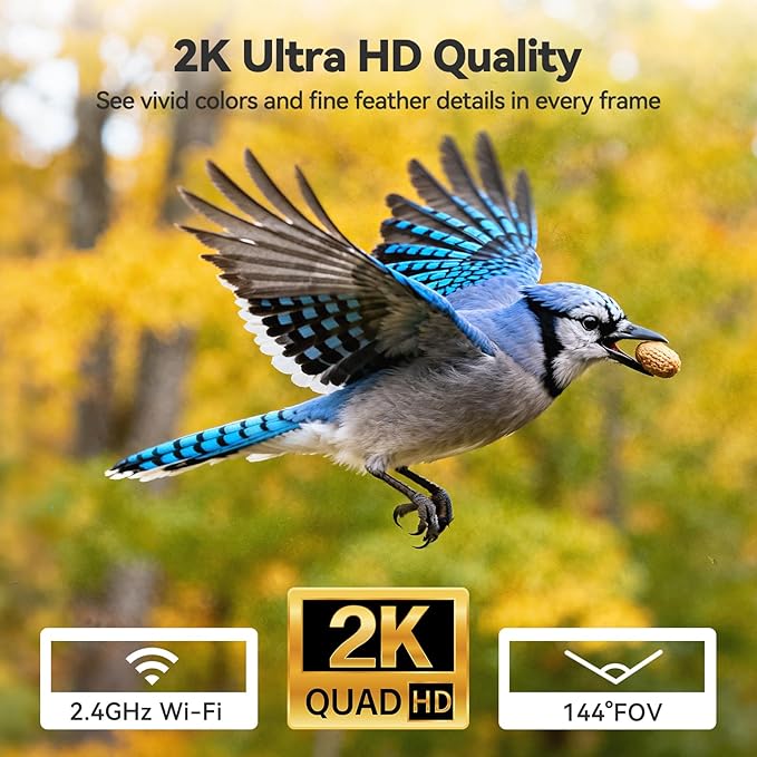 Dzees Smart Window Bird Feeder with Camera, Clear 2K HD Camera with AI Bird Identifier, Live Stream & Auto-Capture, Easy Suction Cup Installation, Perfect Tech Gift for Nature Lovers