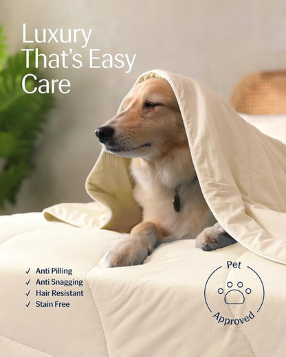 REST® Evercool® Cooling Comforter, Full/Queen, Blanket for Hot Sleepers, All Season Bedding to Keep Cool for Night Sweats, Breathable Lightweight Blanket, 90"x90" Inches, Snow Ivory