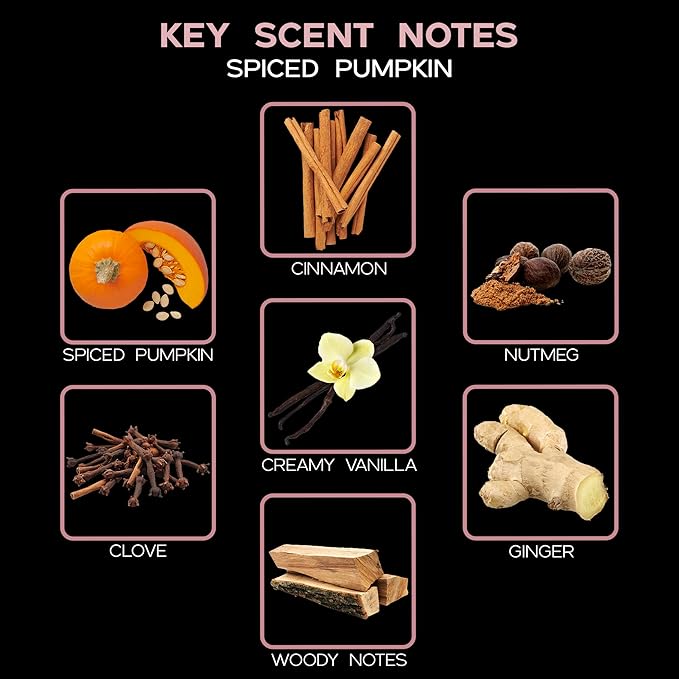 LOVSPA Reed Diffuser Set, Spiced Pumpkin Scented Oil Diffuser with Sticks, Home Fragrance Accessories for Bathroom Shelf Decor, Aroma Diffusers for Home or Office Fall Decor, USA Made