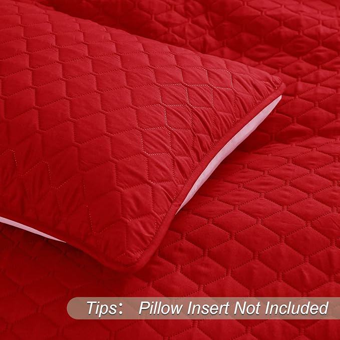 Exclusivo Mezcla Reversible King Size Quilt Bedding Set, Soft Microfiber - Image 5