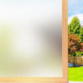 Frosted Window Privacy Film Static Cling Glass Film 35.4" x 7.8' | No Glue by FILMGOO