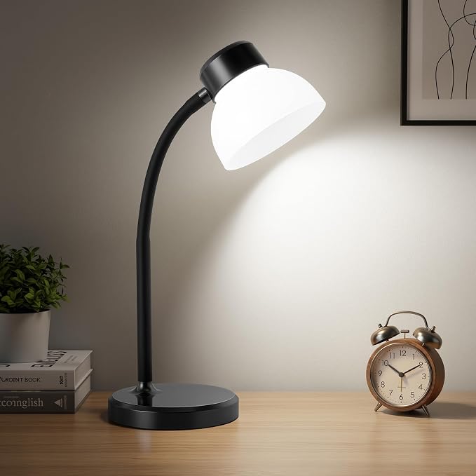 Desk Lamps for Home Office, Small LED Reading Lamp, 5000K Eye-Care Desk Light | by WelcomeGyroVu
