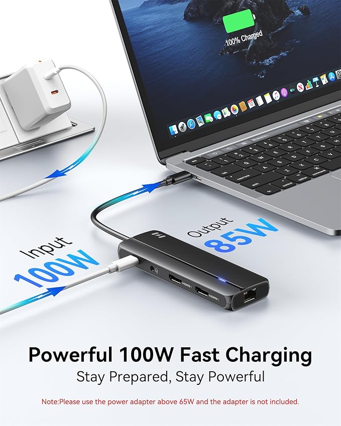 Selore Docking Station for MacBook Pro Air,10 in 1 Dual HDMI Adapter for Mac Pro Air,USB C Hub for MacBook Docking Station Dual Monitor with 2 HDMI,Ethernet,PD,USB C,2 USB A,SD/TF for M1 M2