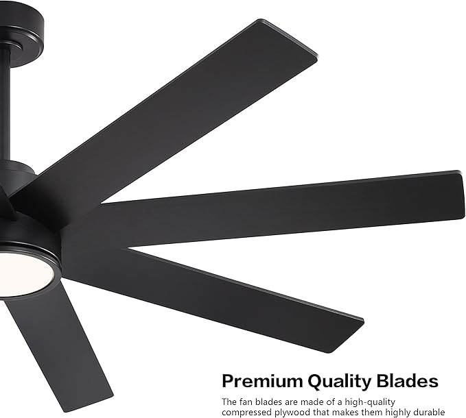 WINGBO 60" Large DC Ceiling Fans with Lights and Remote, 3 Downrods, 8 Plywood Blades, 6-Speeds Reversible DC Motor, 3CCT, Indoor Ceiling Fan for Bedroom Living Room Patio, Black