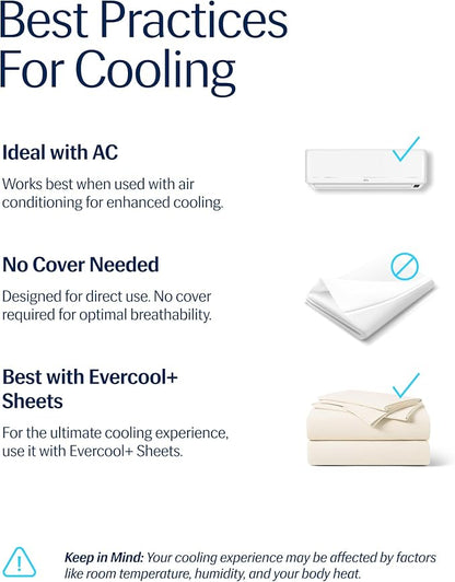 REST® Evercool® Cooling Comforter, Full/Queen, Blanket for Hot Sleepers, All Season Bedding to Keep Cool for Night Sweats, Breathable Lightweight Blanket, 90"x90" Inches, Snow Ivory