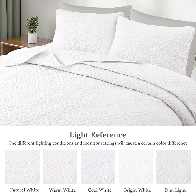 Exclusivo Mezcla Full Queen Quilt Set, All Season Bedding - Image 3