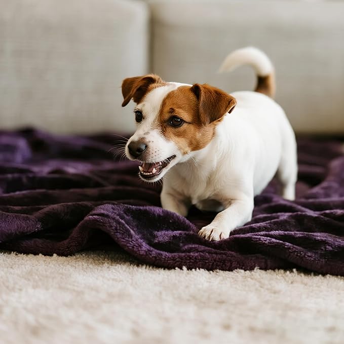 gogobunny Waterproof Bed Blanket, Reversible Sherpa Fleece Throw Blanket for Dog Puppy Cat, Furniture Cover Protects Bed Couch Sofa from Liquid Pee and Pet Fur (Dark Purple, 90x90 inches)