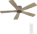 WINGBO 54" Flush Mount DC Ceiling Fans without Lights, 5 Carved Solid Wood Blades, 6-Speed Reversible DC Motor, Low Profile Hugger Ceiling Fan No Light for Living Room Bedroom Patio, Graphite and Gray