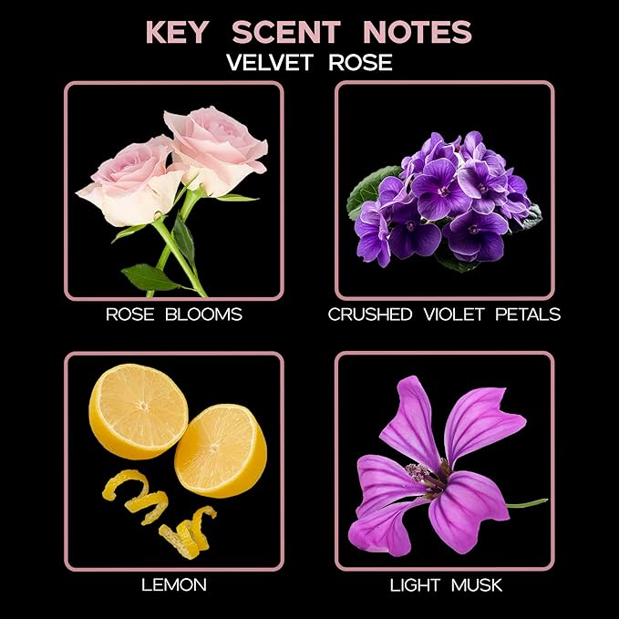 LOVSPA Reed Diffuser Set, Velvet Rose Scented Oil Diffuser with Sticks, Home Fragrance Accessories for Bathroom Shelf Decor, Aroma Diffusers for Home or Office Desk, USA Made