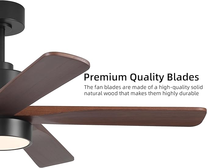 WINGBO 48 Inch DC Ceiling Fan with Lights and Remote Control, 5 Carved Solid Wood Blades, 6-Speed Noiseless Reversible DC Motor, Indoor Ceiling Fan in Matte Black Finish with Walnut Blades