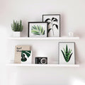 White Floating Shelves for Wall Decor, 36 in Shelf by Unknown